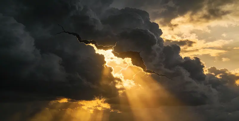 鹤岗肺癌靶向39基因检测及PDL122C3表达检测套餐（组织）图片1